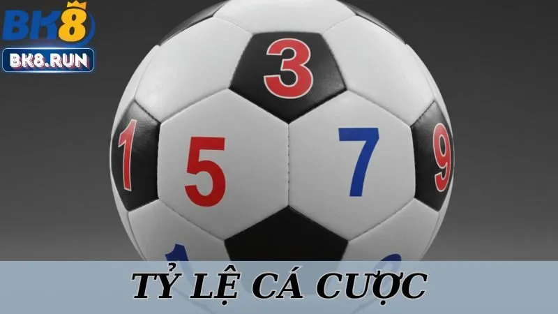 Tổng Hợp Tỷ Lệ Cá Cược Online Thịnh Hành Nhất Cùng BK8